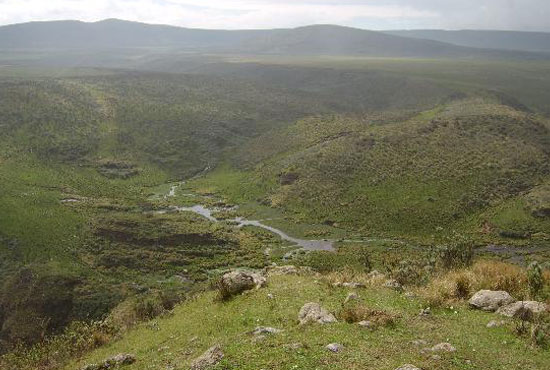 Arusha Arusha
