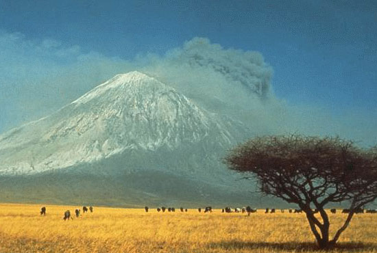 Arusha Arusha