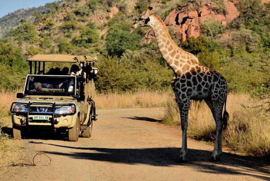 Arusha Arusha