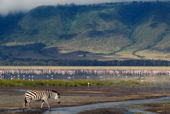 Arusha Arusha