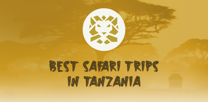 best safari trips in Tanzania