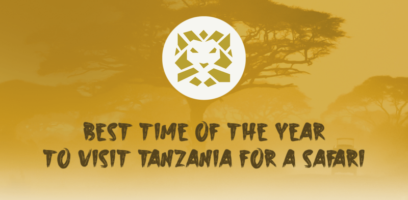When Is The Best Time Of The Year to Visit Tanzania For a Safari