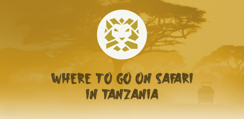 Where to go on safari in tanzania-min