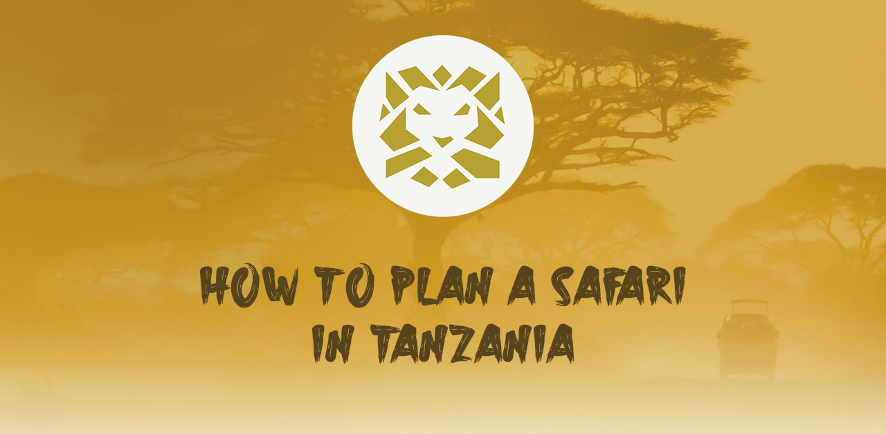How to plan a safari in Tanzania